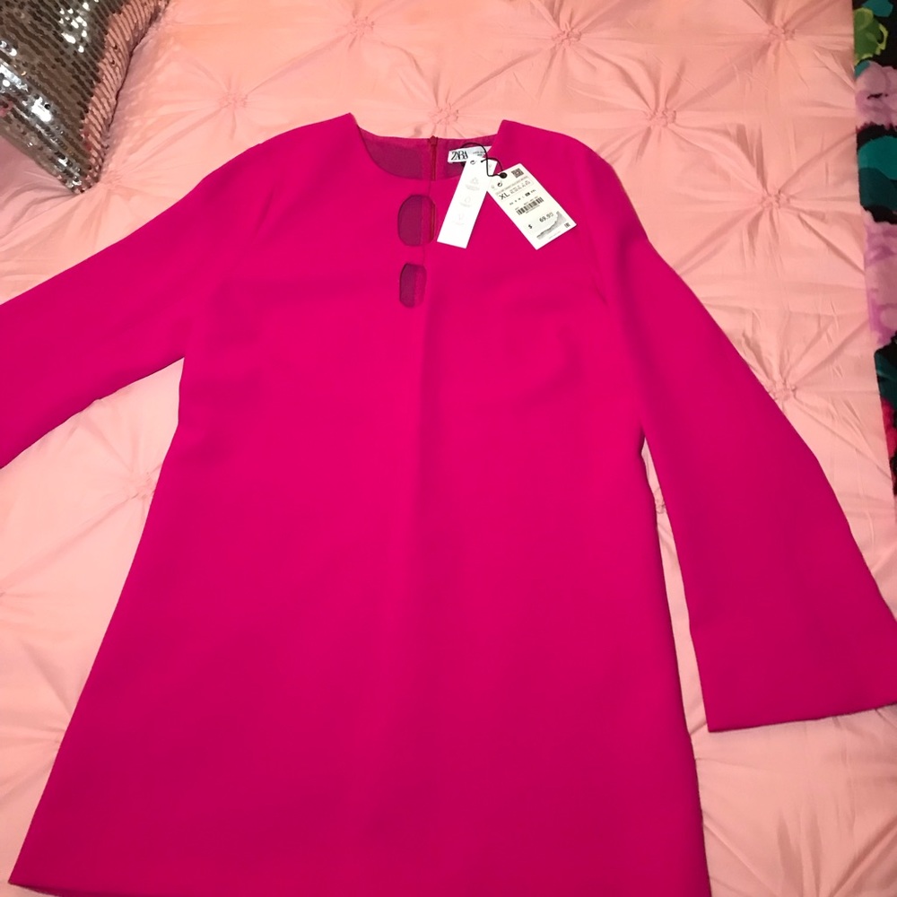 NWT Zara Flair Arm Dress